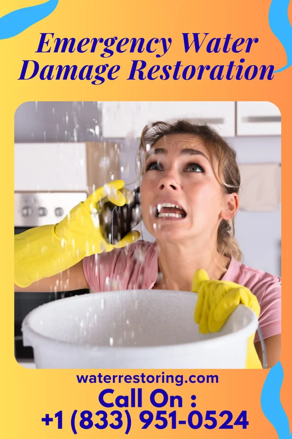 Emergency Water Damage Restoration in North El Monte, CA